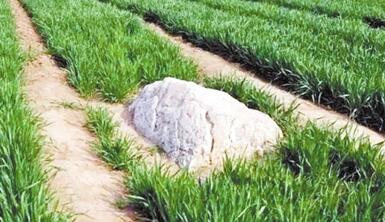 全国最小的“山”可能不是山 为了保护它当地禁止在附近搞建设