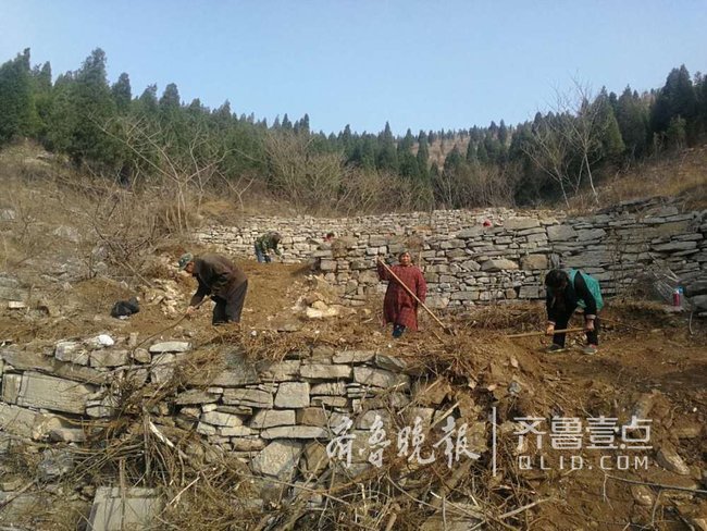 济南20处山体公园完成规划设计 其中2处已开工建设