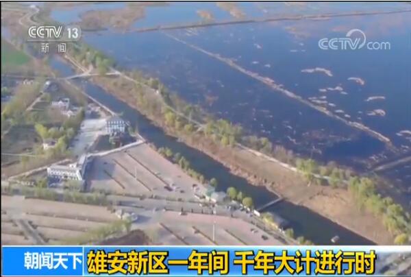 ������Ļ�������