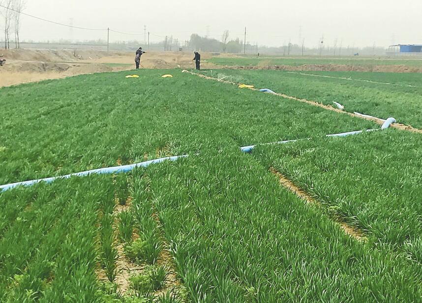 从保本到保丰再到种植结构改革 春耕正当时粮食丰产水先行