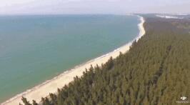 绿色宝岛的生态坚守丨潮起海之南