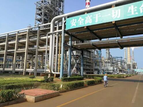 绿色宝岛的生态坚守丨潮起海之南