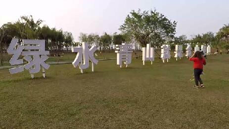 绿色宝岛的生态坚守丨潮起海之南