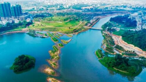 绿色宝岛的生态坚守丨潮起海之南