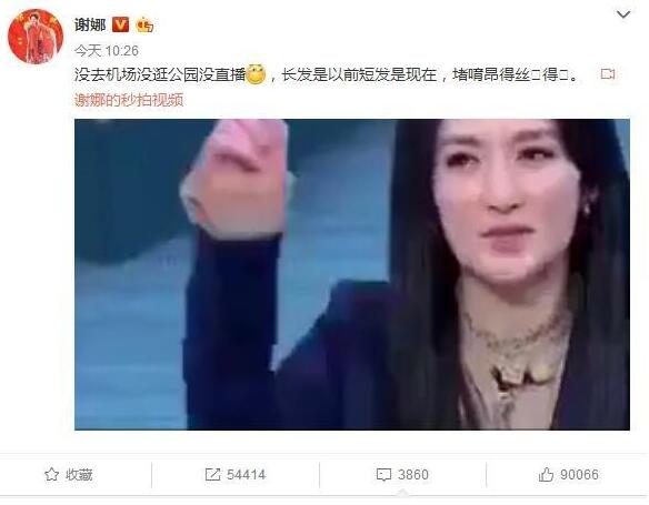 谢娜否认复出传闻 言辞幽默令人捧腹