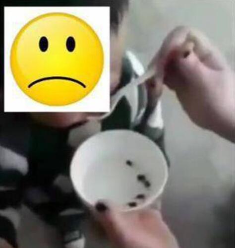 家长给幼童喂食活蝌蚪称强身健体 偏方不能逾越科学底线