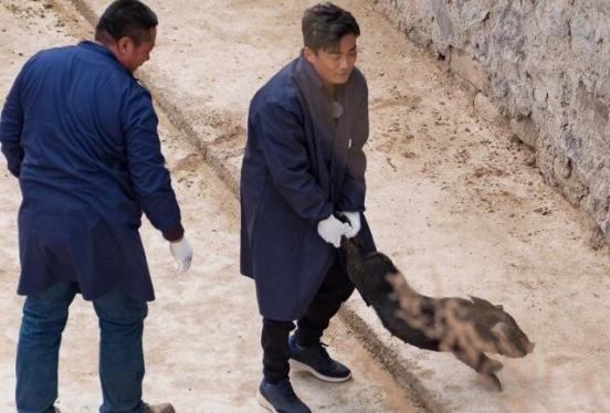 《我们在行动》王宝强下乡抓猪 和潘石屹