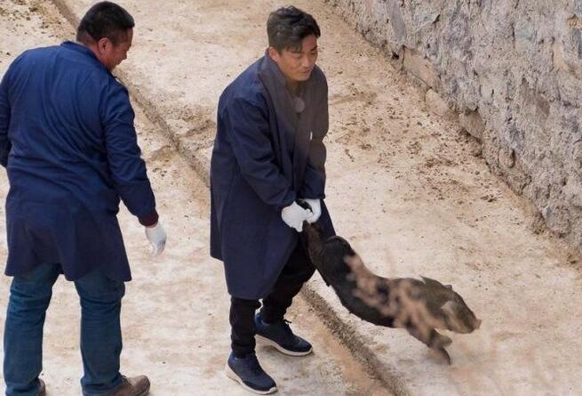 画风搞笑!王宝强下乡抓猪 一群