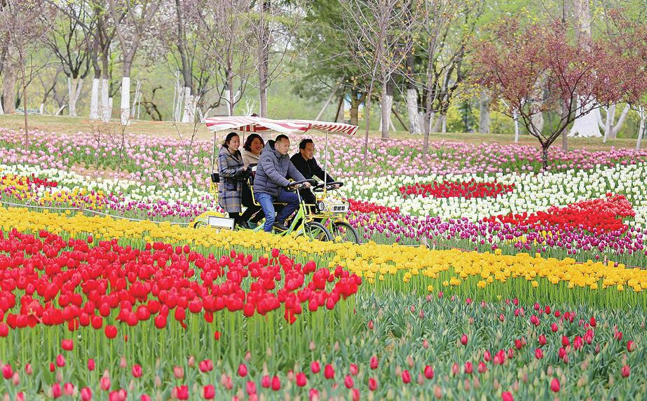 植物园春色花海好迷人