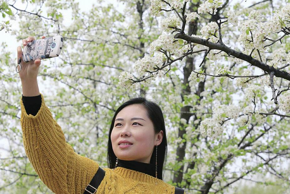 植物园春色花海好迷人