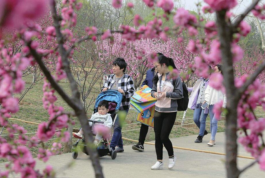植物园春色花海好迷人