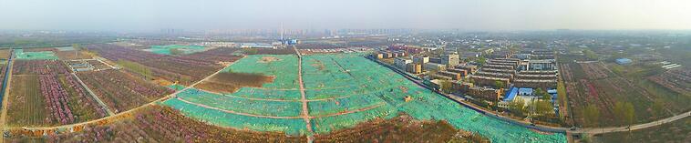 济南国际医学科学中心多个重点项目将陆续开工