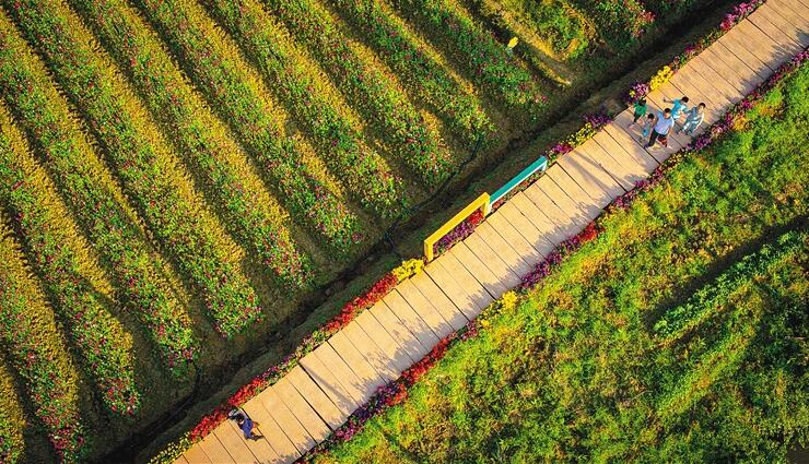 龙寿洋健康小镇融入博鳌第二乐章