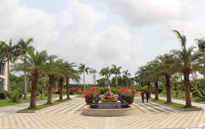 博鳌超级医院运营灵活：平台像机场，团队似航司