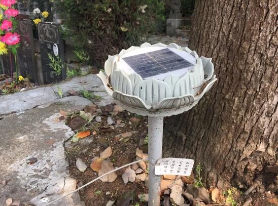 男子清明扫墓疑墓地里传来呜咽声 真相原来是这个