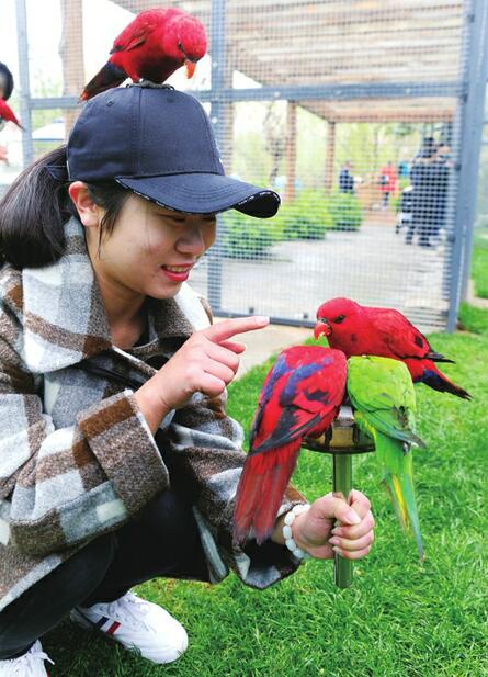 清明踏青好时节 济野最是好去处