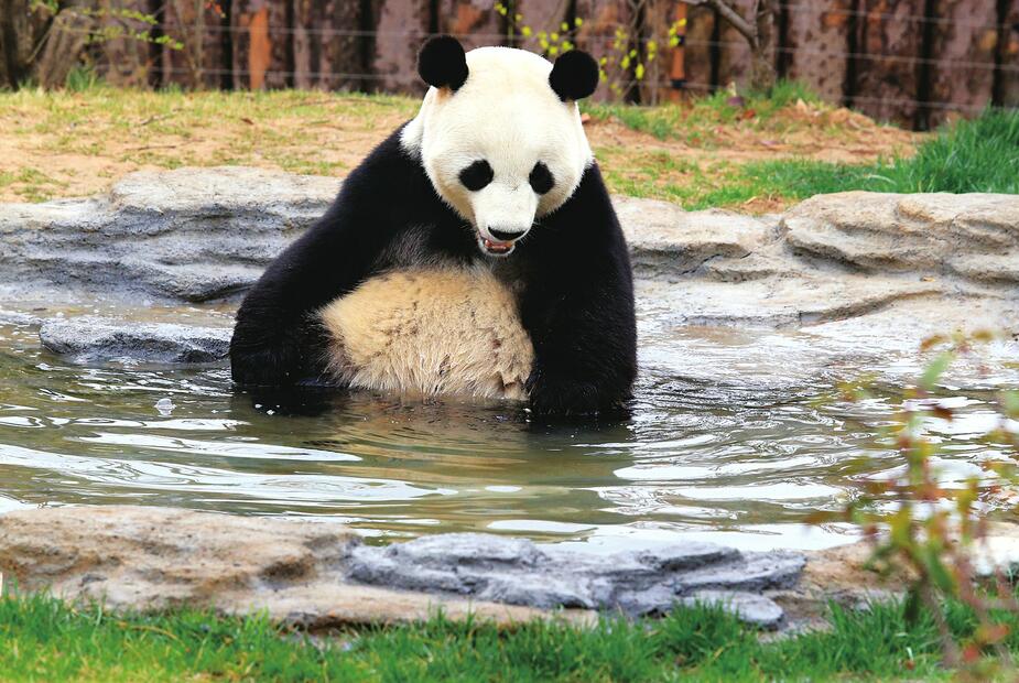 清明踏青好时节 济野最是好去处