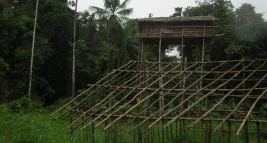 丢大脸了！BBC纪录片造假被揭发 科罗威人的树屋临时搭建