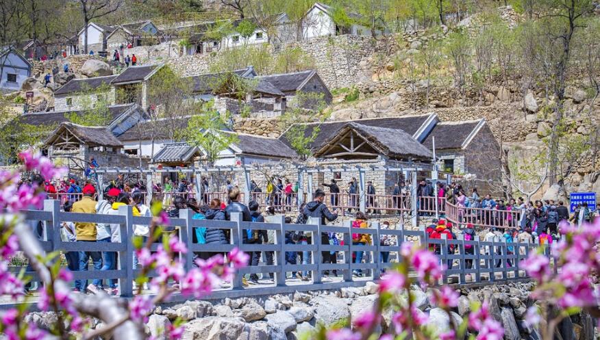 清明时节游客沂蒙山花海畅游