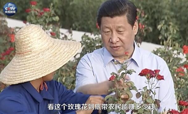 习近平的海南情缘