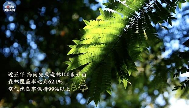 习近平的海南情缘