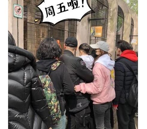 奶爸的日常！动物园偶遇黄晓明 baby伸出手护着两人一家三口超甜