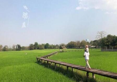 杨乐乐为汪涵庆生 大方表白“春风十里不如你”