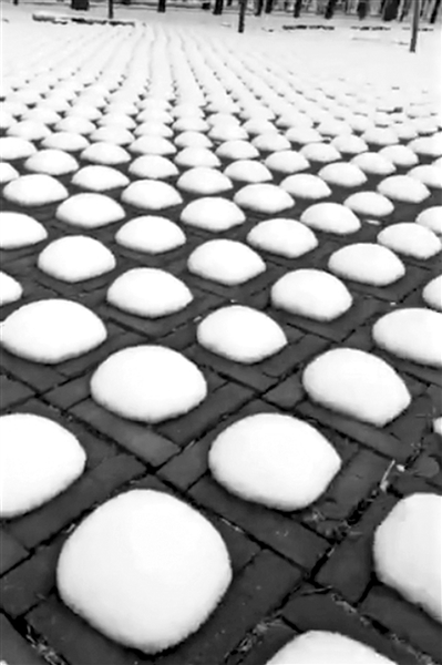 北京一停车场现雪馒头：排列整齐，大小相近