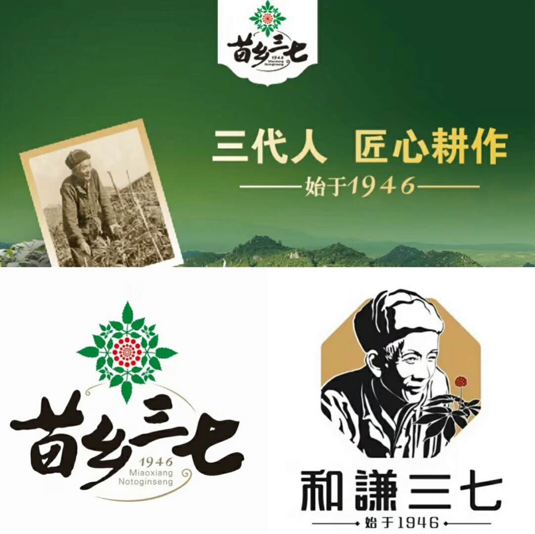 三代人匠心耕作出南国神草“金不换”——三七