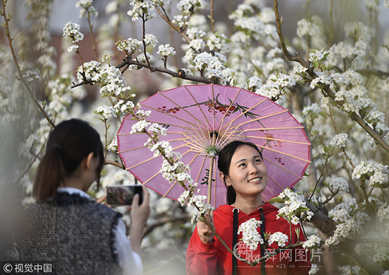 山东邹平：农场百花盛开灿烂缤纷 众多游客慕名而来