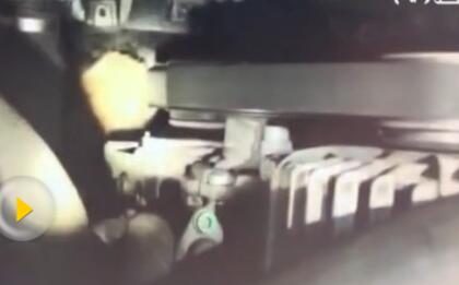 怎么进去的？引擎盖内3只小猫惊呆车主 一路开回家