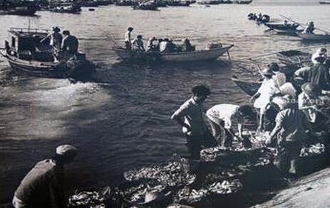 ������ح͸�������������ĸ￪��