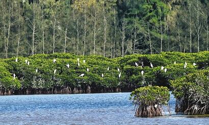 中央媒体看海南