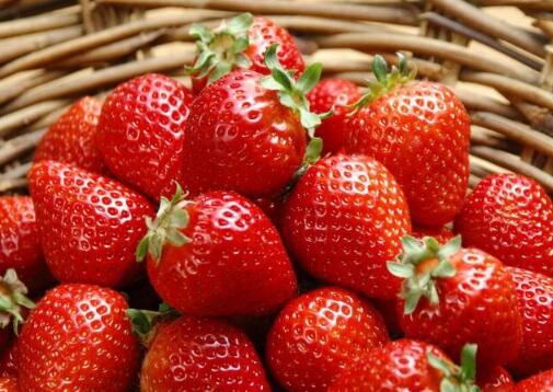 实锤曝光?最脏蔬果竟是草莓 6招教你清洗的正确姿势吃货快来get