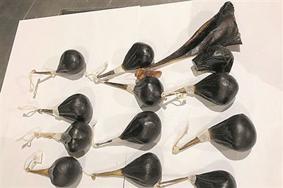 胆大包天！深圳海关查获熊胆13只 打开纸包一股腥味扑面而来