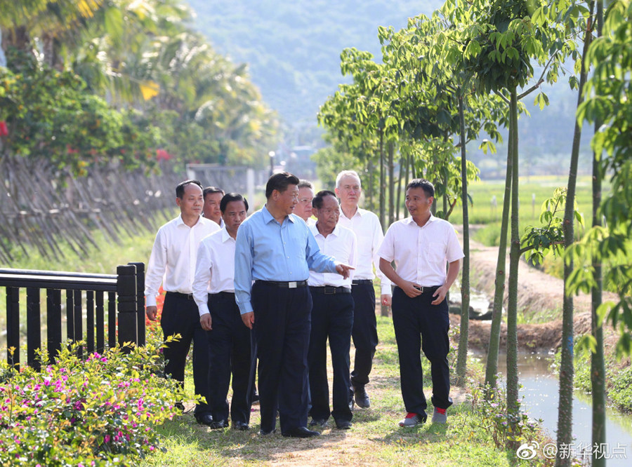 习近平考察国家南繁科研育种基地（海南）