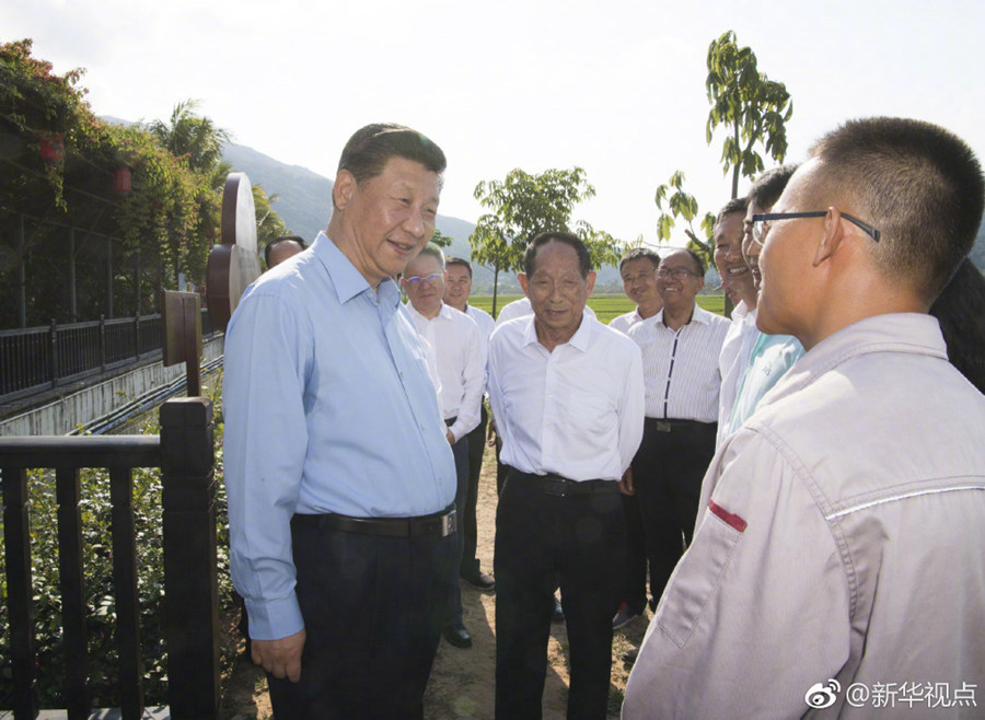 习近平考察国家南繁科研育种基地（海南）
