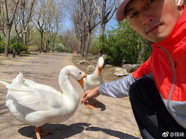 搞怪！谢霆锋晒与鹅自拍还@容祖儿 网友：看完你的演唱会再煮吧