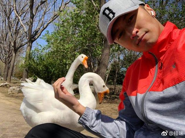 搞怪！谢霆锋晒与鹅自拍还@容祖儿 网友：看完你的演唱会再煮吧