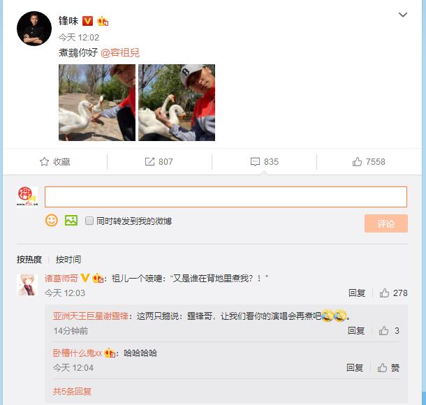 搞怪！谢霆锋晒与鹅自拍还@容祖儿 网友：看完你的演唱会再煮吧