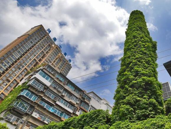 堪称奇观！废弃烟囱穿绿裙子 30余米烟囱被