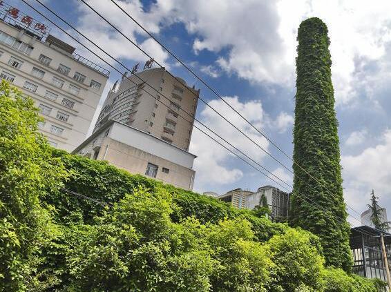 堪称奇观！废弃烟囱穿绿裙子 30余米烟囱被