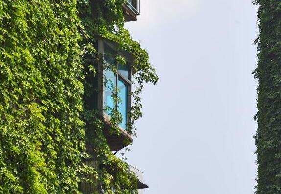 堪称奇观！废弃烟囱穿绿裙子 30余米烟囱被