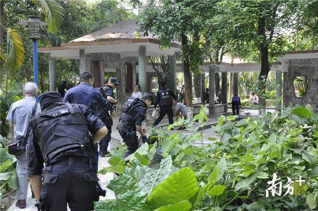 为一探虚实，又避免打草惊蛇，分局派出便衣民警先去探探路。不料，刚一进公园，民警就被“放风”人员盯上了。便衣民警依靠着过硬的“演技”，层层过关，最终挤进了“赌场”的核心区域。在现场，便衣民警看到，赌徒们个个手里攥着大把现钞。便衣民警佯装参赌，掏出裤兜里早已准备好的2000元“赌资”。但是刚刚准备“下注”，却被身旁一男子喝止。男子质问便衣民警：“兄弟，谁介绍你来的？”便衣民警回答：“自己来的。”结果，民警“注”还没下成，就被男子“请”了出去。