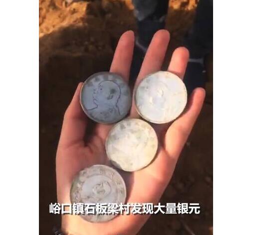 挖疯了!种树挖出40多块银元 大批村民慕名赶至