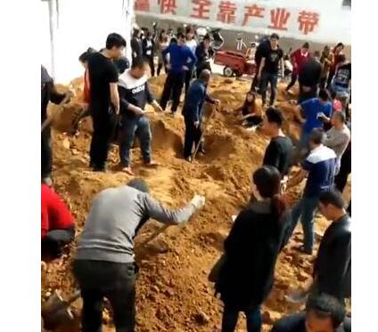 挖疯了!种树挖出40多块银元 大批村民慕名赶至