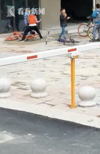 熊孩子抡铁锤砸共享单车 网友：爹妈不好好教今后社会替你们“教”