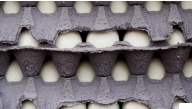 美国召回问题鸡蛋2亿7百万个 感染沙门氏菌严