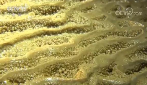 世界级天坑群内现地下暗河 神秘世界就此打开