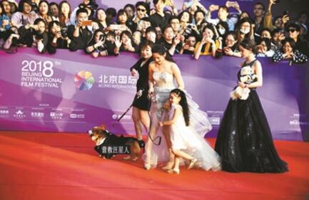 要想大师大众大市场 唯有真艺真新真票房